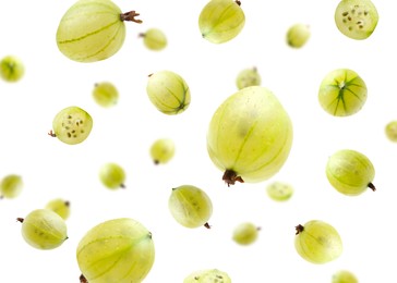 Image of Fresh green gooseberries falling against white background