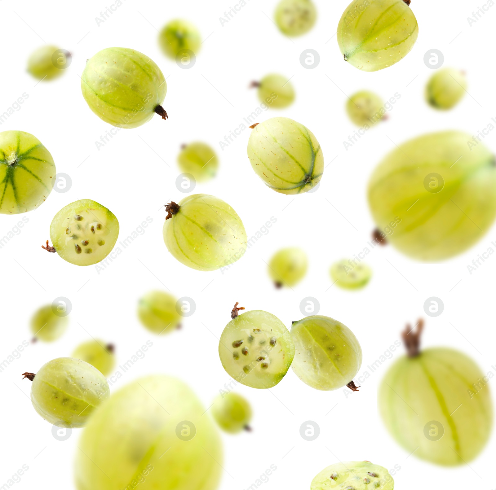 Fresh green gooseberries falling against white background Image of Fresh green gooseberries falling against white background