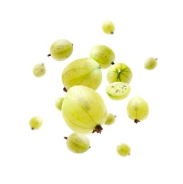 Image of Fresh green gooseberries in air against white background