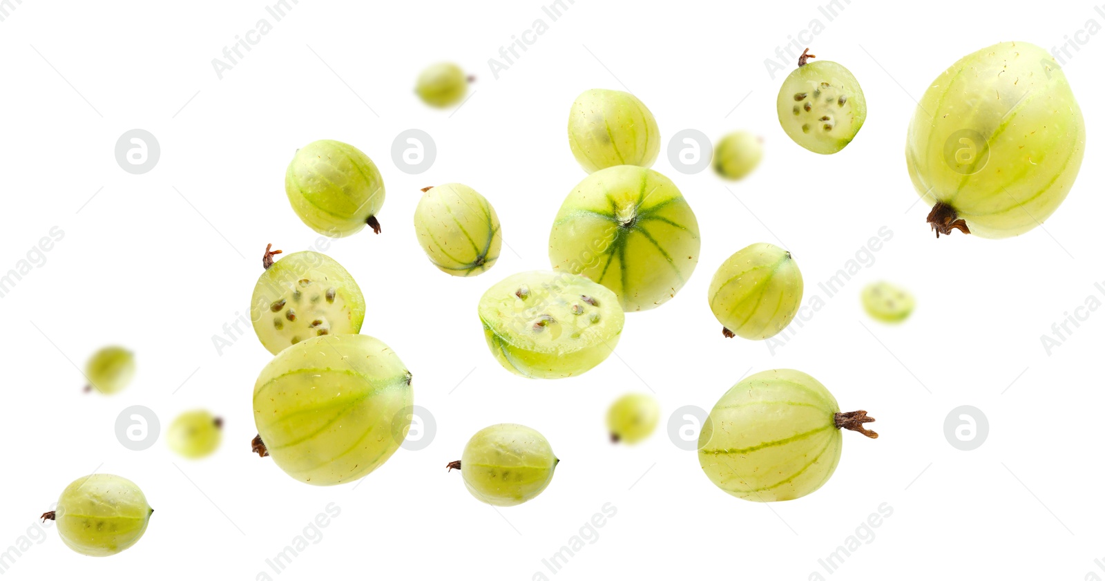 Image of Fresh green gooseberries flying against white background