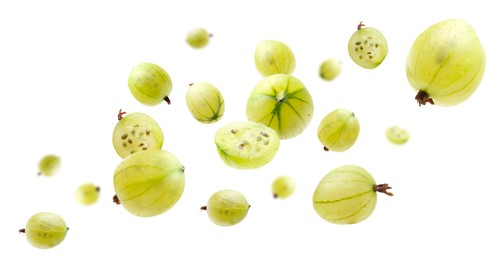 Image of Fresh green gooseberries flying against white background