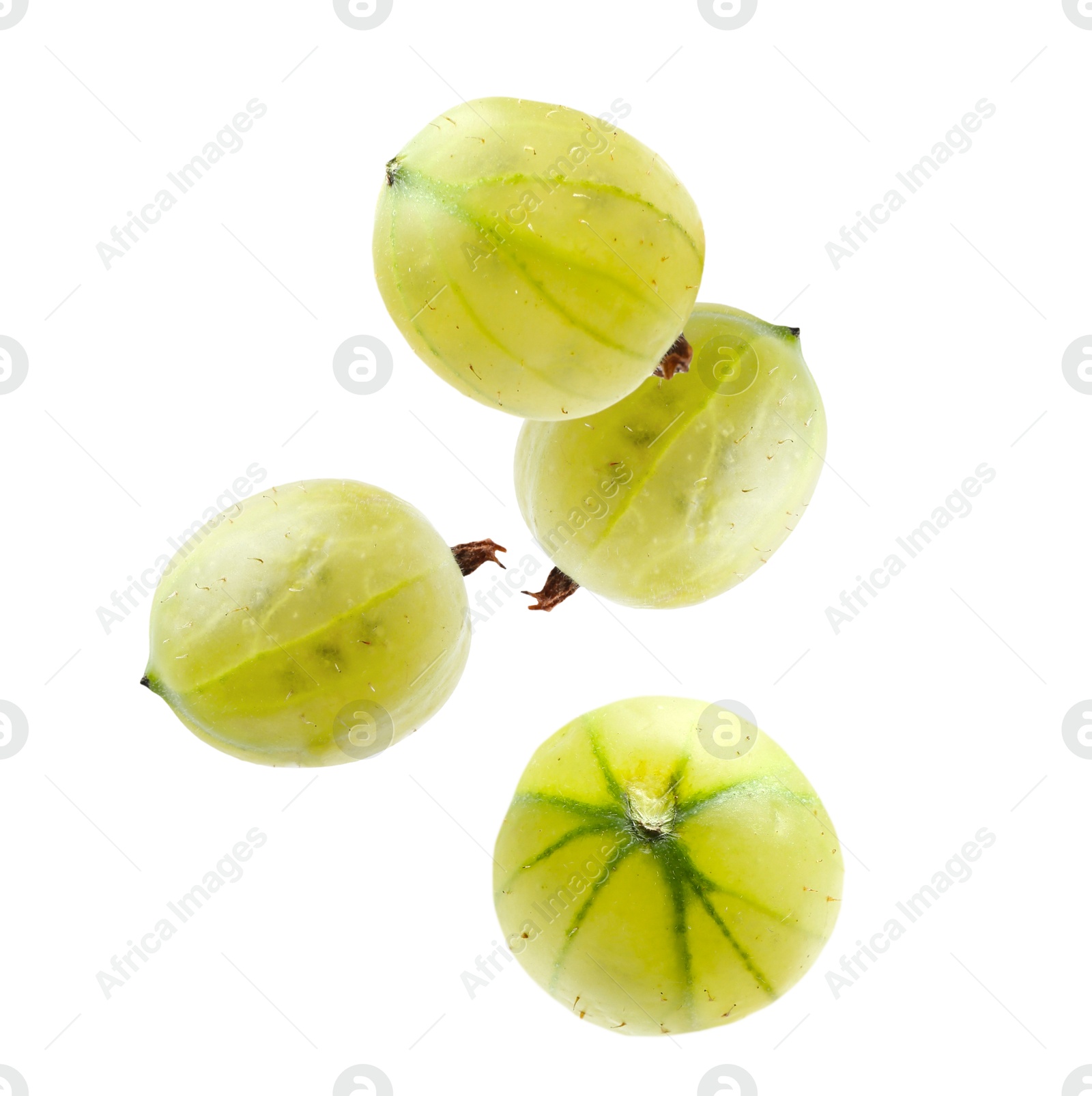 Image of Fresh green gooseberries falling against white background