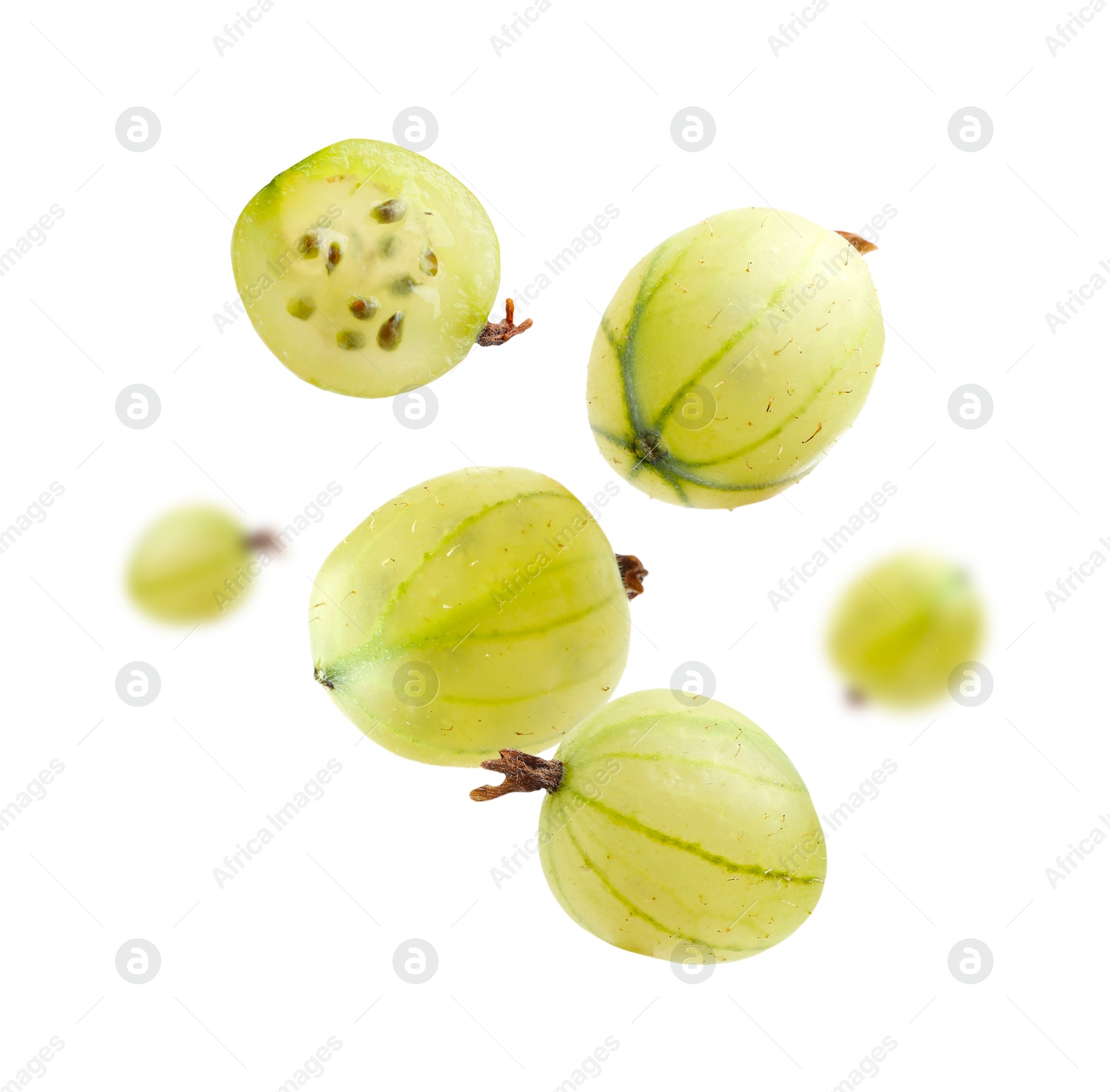 Fresh green gooseberries falling against white background Image of Fresh green gooseberries falling against white background