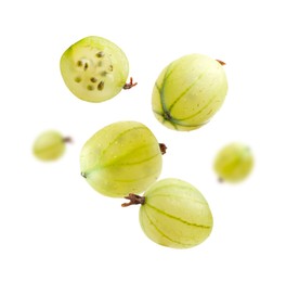 Image of Fresh green gooseberries falling against white background