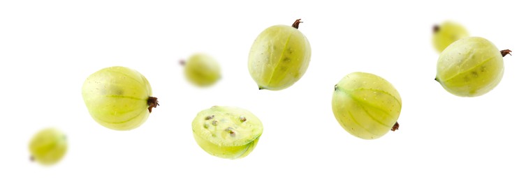 Image of Fresh green gooseberries flying against white background