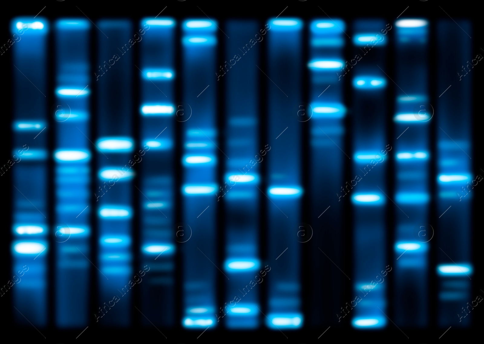 Illustration of DNA sequencing result, visualisation. Researches in genetics