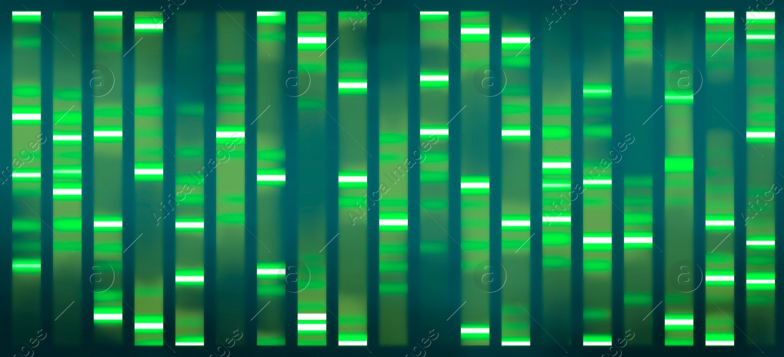 Illustration of DNA sequencing result, visualisation. Researches in genetics