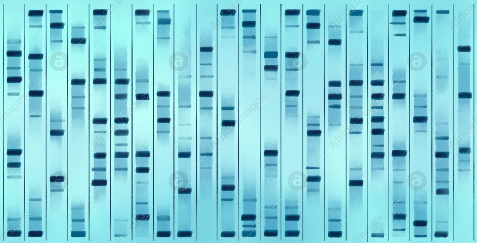 Illustration of DNA sequencing result, visualisation. Researches in genetics