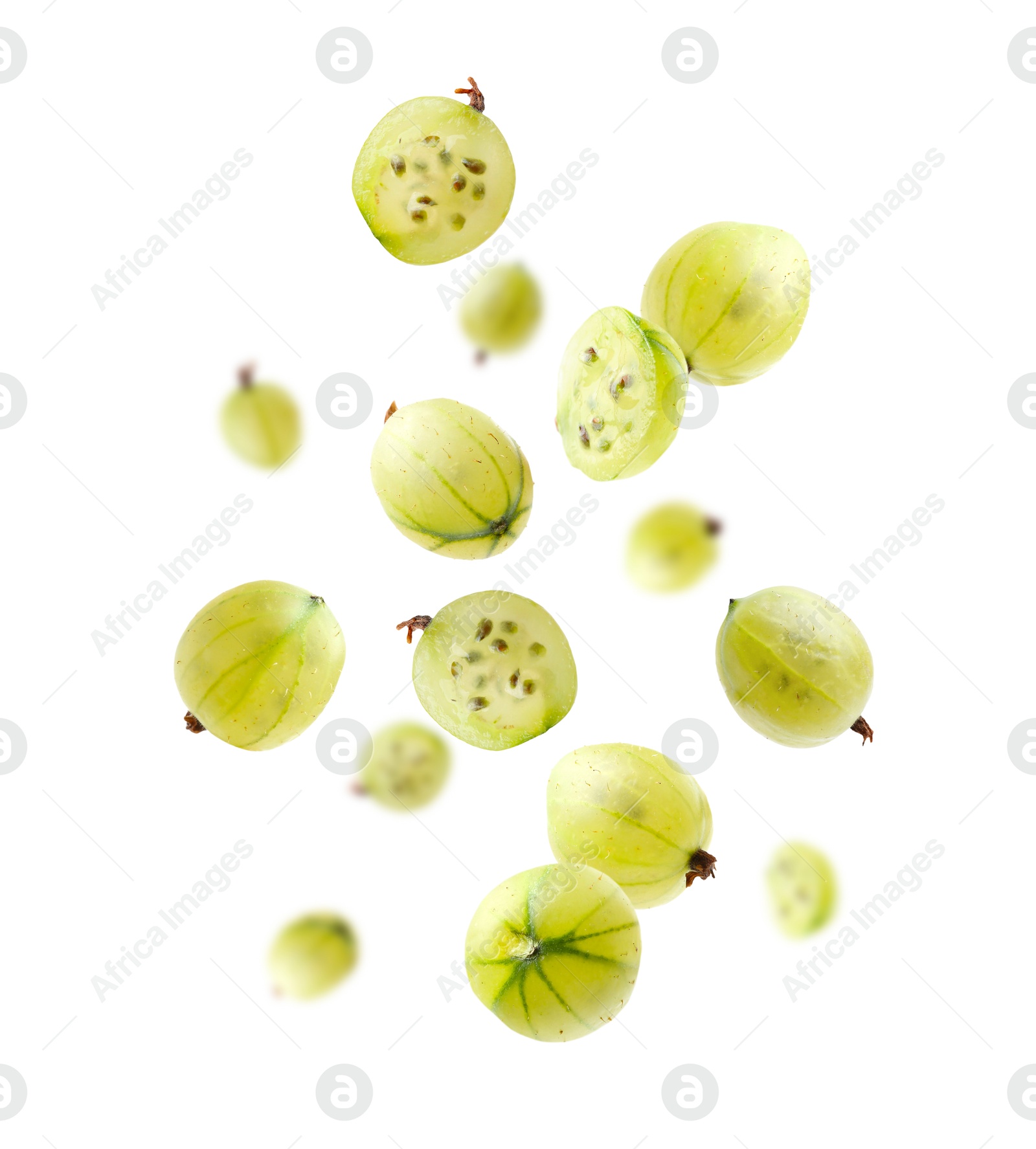 Fresh green gooseberries falling against white background Image of Fresh green gooseberries falling against white background