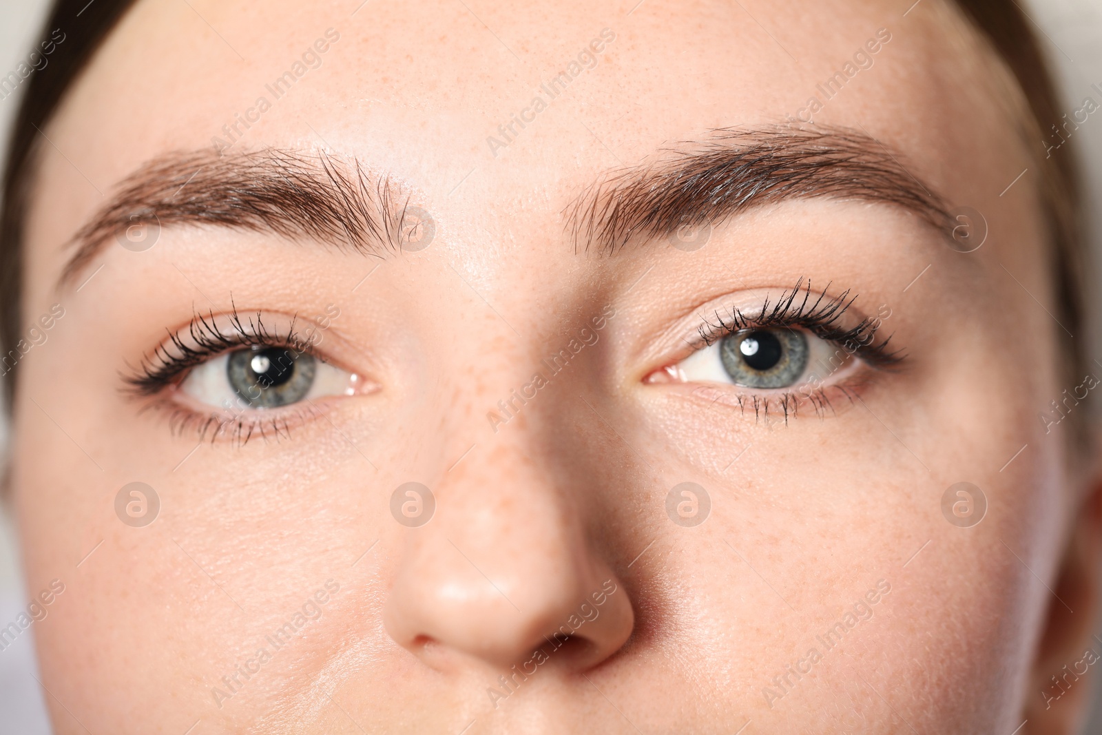 Photo of Eyebrow styling. Young woman with beautiful eyebrows, closeup