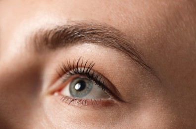 Photo of Eyebrow styling. Young woman with beautiful eyebrow, closeup