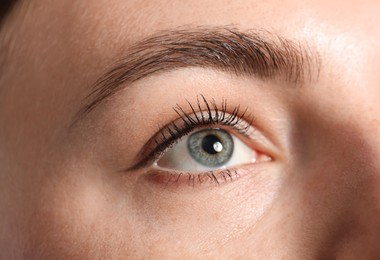 Photo of Eyebrow styling. Young woman with beautiful eyebrow, closeup
