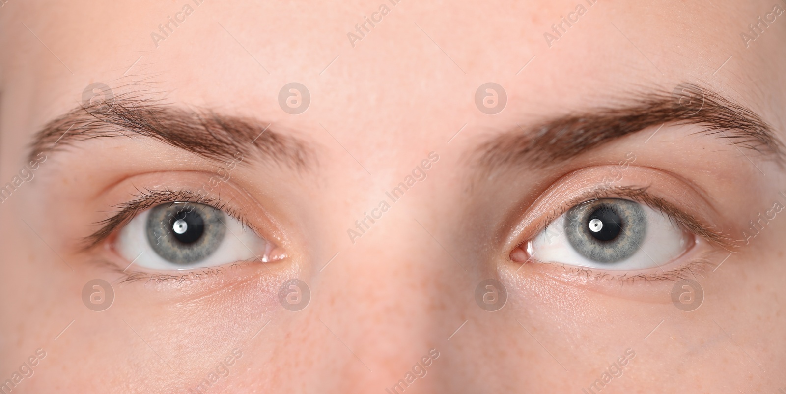 Photo of Eyebrow styling. Young woman with beautiful eyebrows, closeup