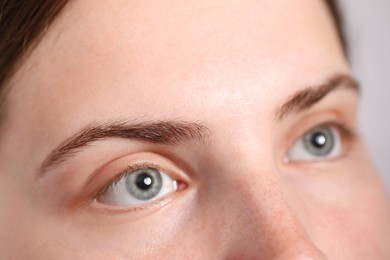 Photo of Eyebrow styling. Young woman with beautiful eyebrows, closeup