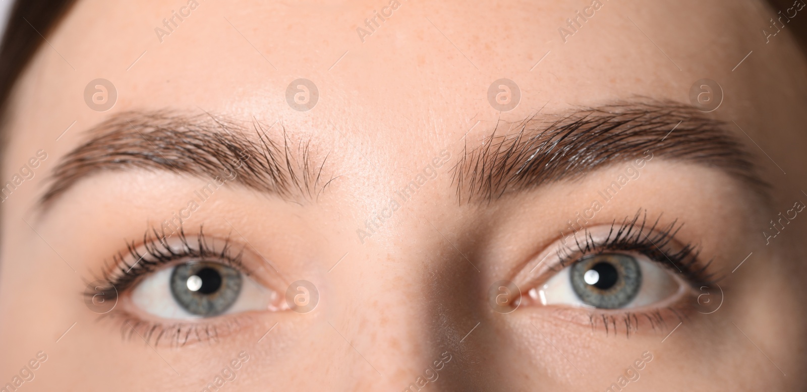 Photo of Eyebrow styling. Young woman with beautiful eyebrows, closeup