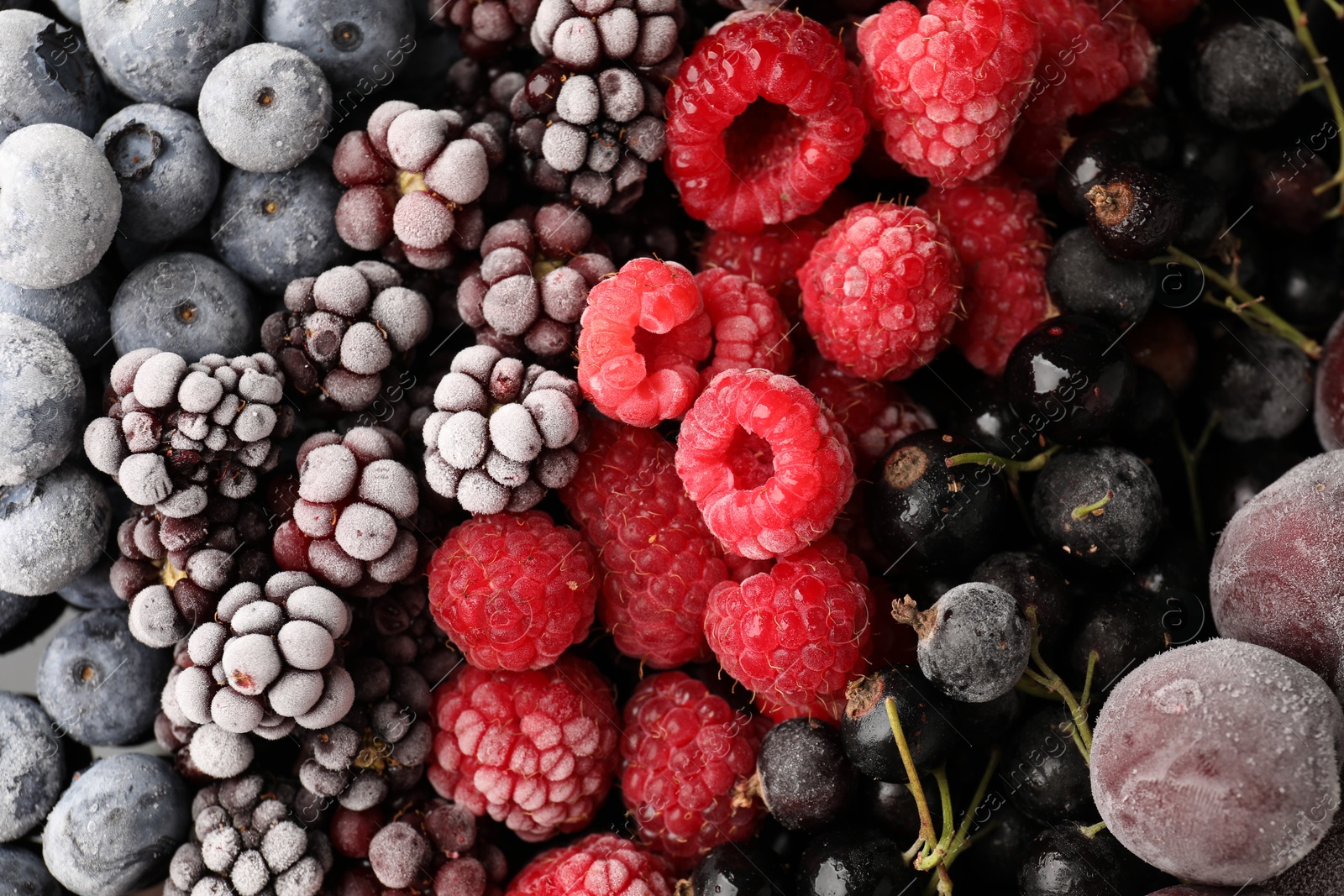 Photo of Many different frozen berries as background, top view