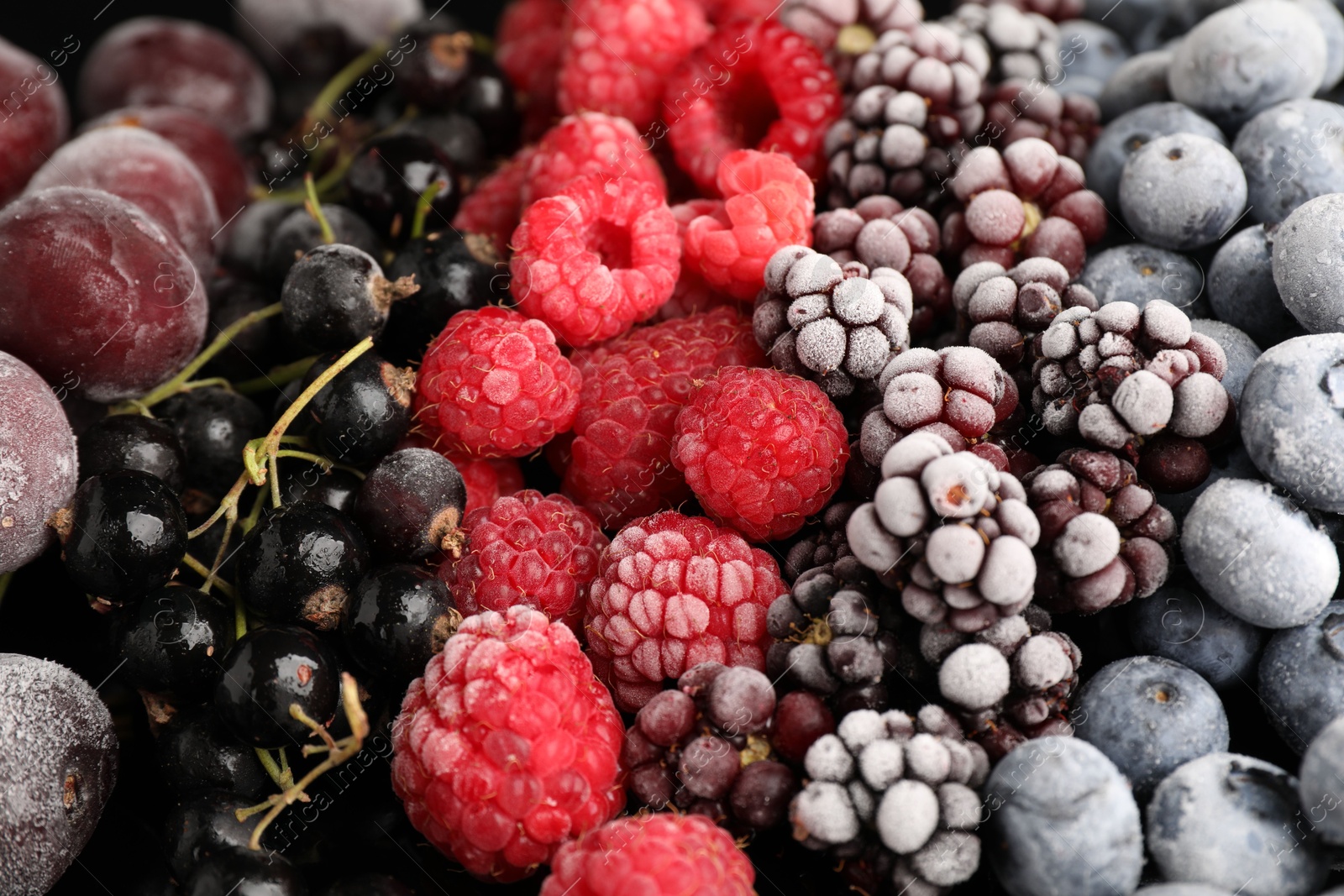 Photo of Many different frozen berries as background, closeup