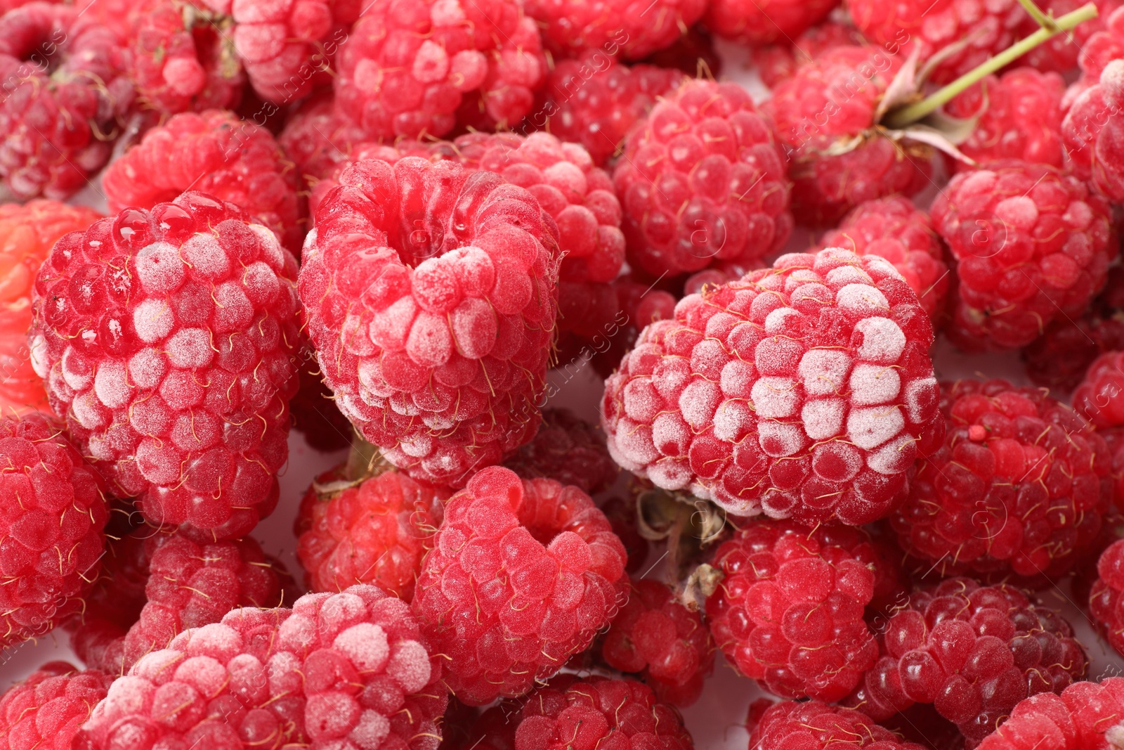 Photo of Many frozen raspberries on table, top view