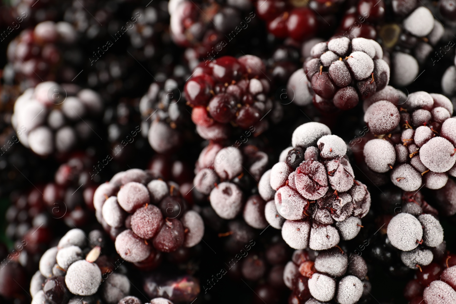 Photo of Frozen blackberries as black background, top view