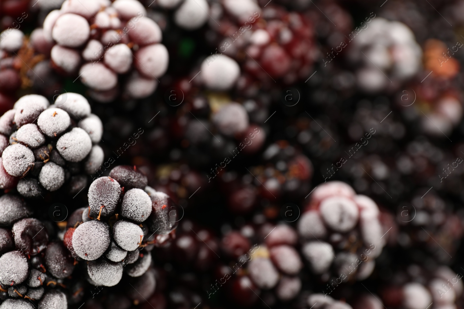 Photo of Frozen blackberries as black background, top view