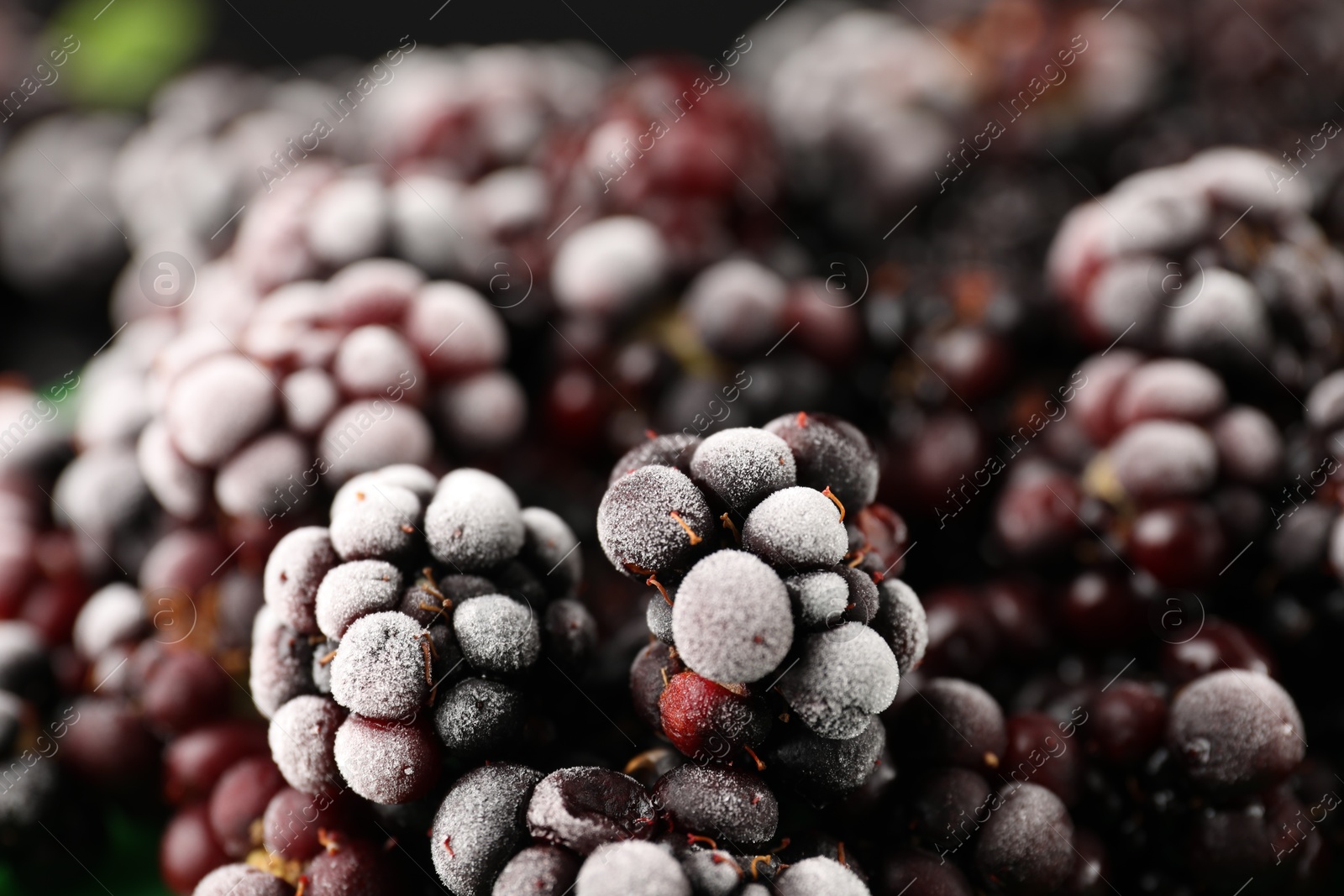 Photo of Frozen blackberries as black background, closeup view