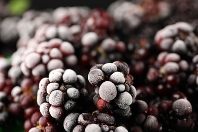 Photo of Frozen blackberries as black background, closeup view