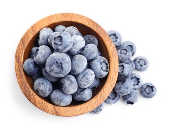 Photo of Many frozen blueberries in bowl isolated on white, top view