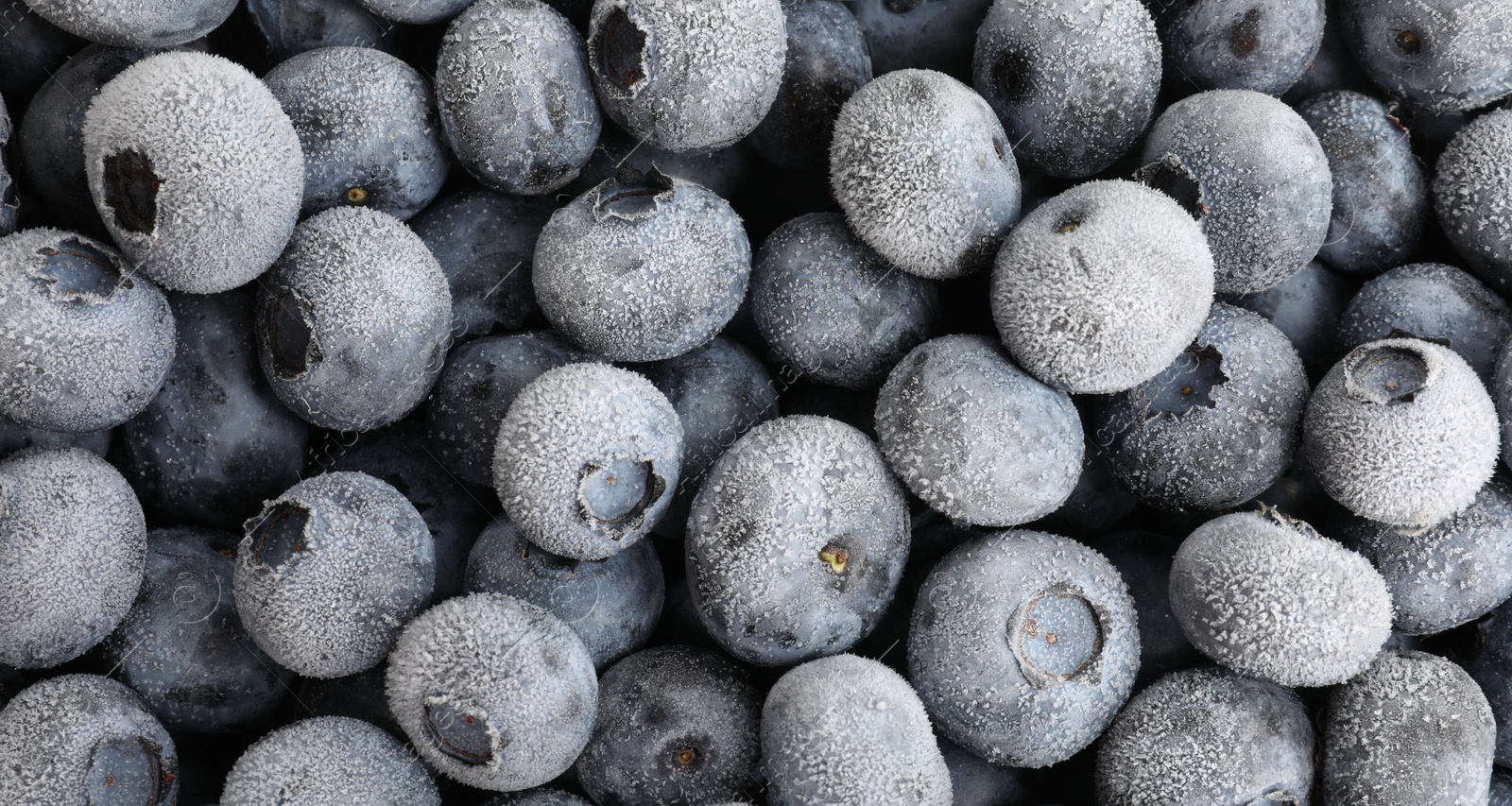Photo of Many frozen blueberries as background, top view