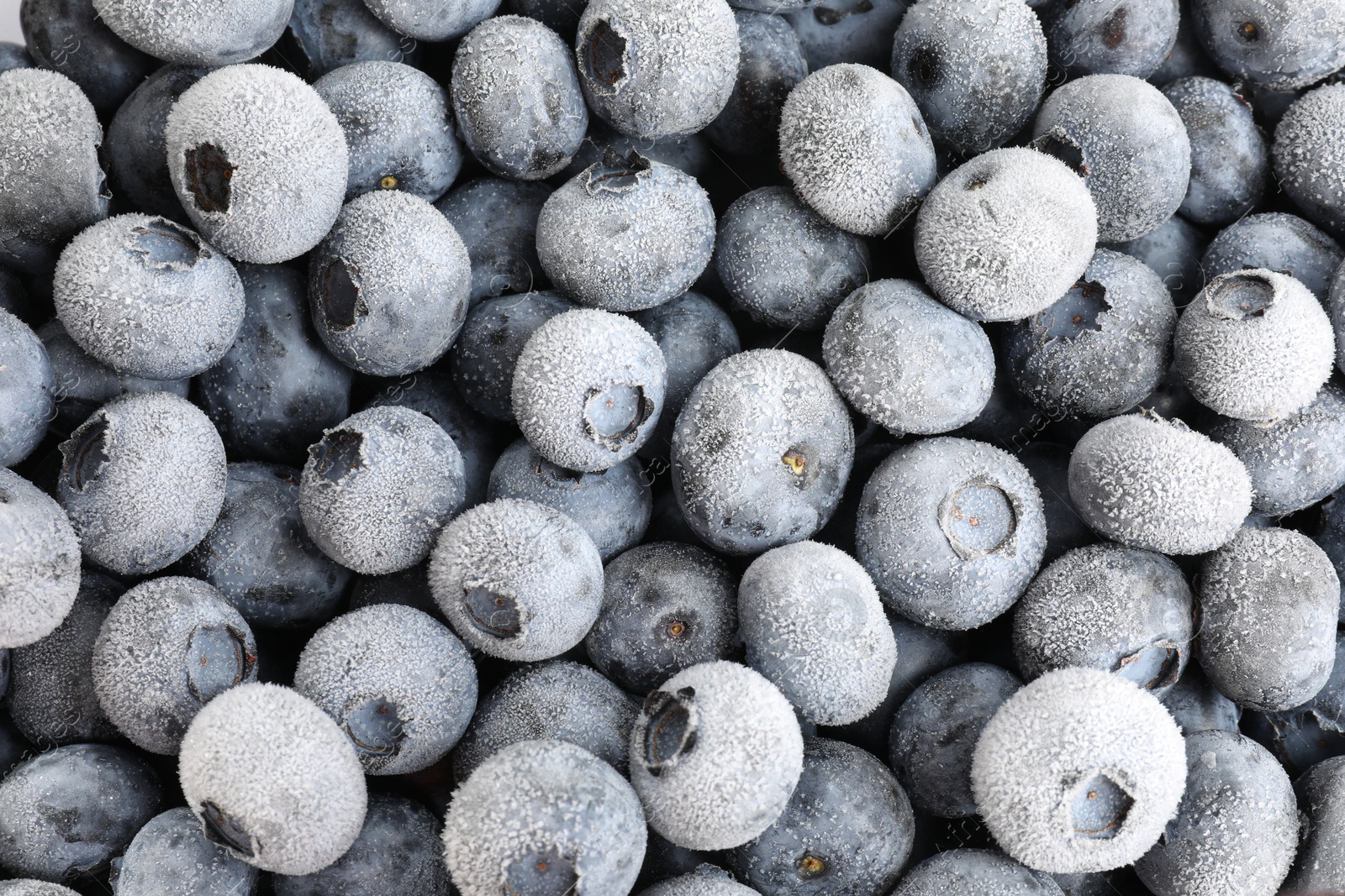 Photo of Many frozen blueberries as background, top view
