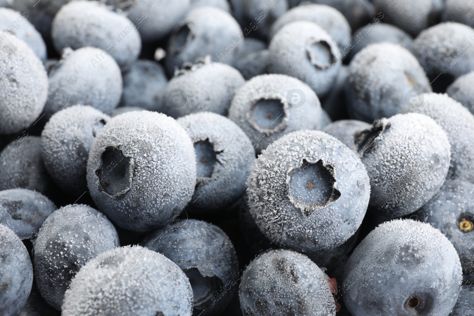 Photo of Many frozen blueberries as background, closeup view