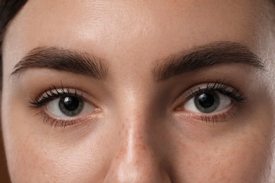 Photo of Eyebrow styling. Young woman with beautiful eyebrows, closeup