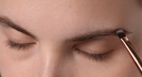 Photo of Young woman applying cosmetic product onto her eyebrow with brush, closeup