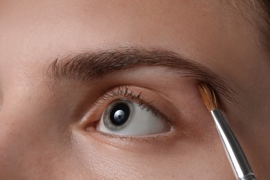 Photo of Young woman applying cosmetic product onto her eyebrow with brush, closeup