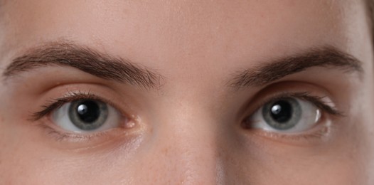 Photo of Eyebrow styling. Young woman with beautiful eyebrows, closeup