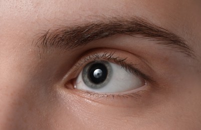 Photo of Eyebrow styling. Young woman with beautiful eyebrow, closeup