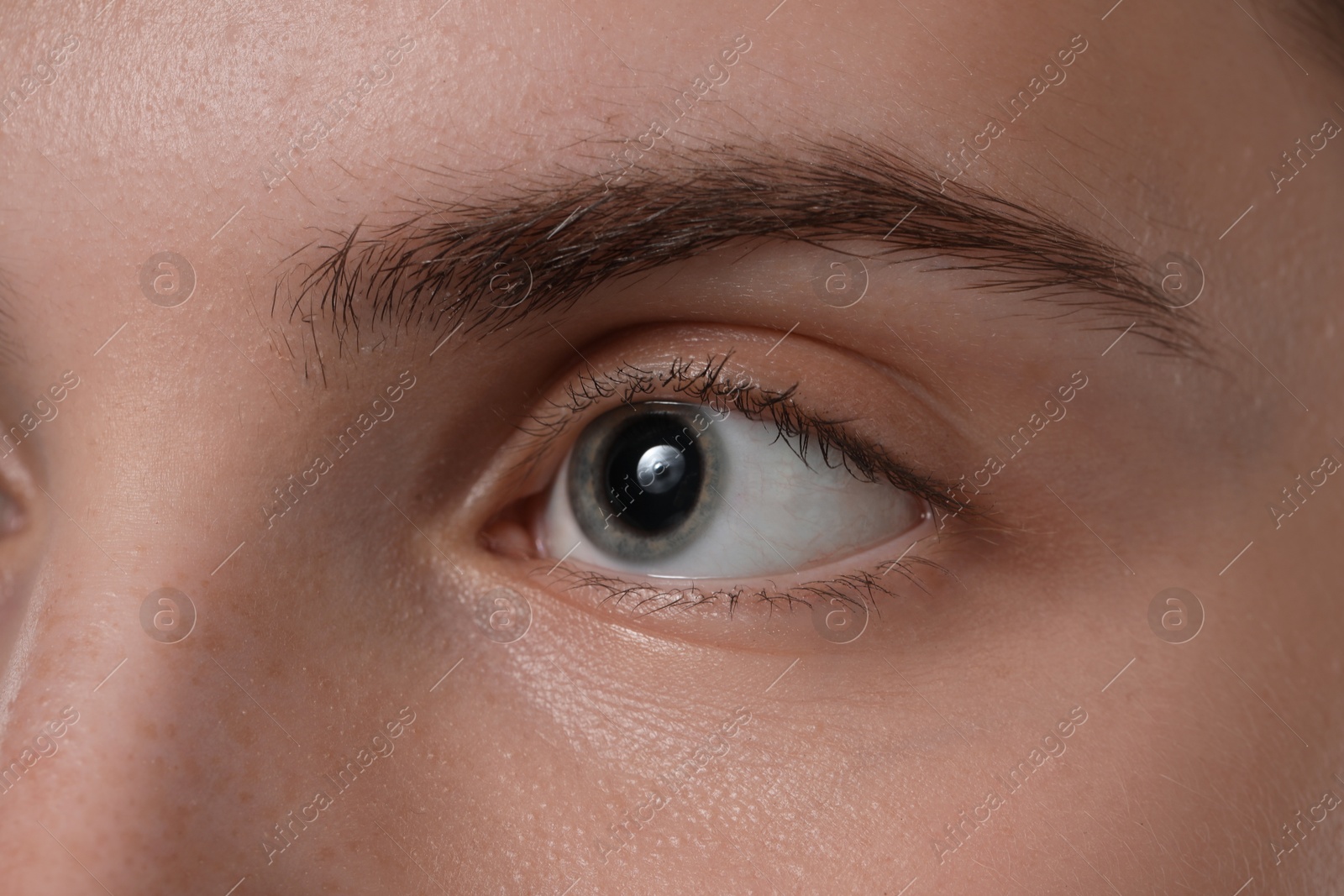 Photo of Eyebrow styling. Young woman with beautiful eyebrow, closeup
