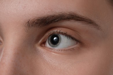 Photo of Eyebrow styling. Young woman with beautiful eyebrow, closeup