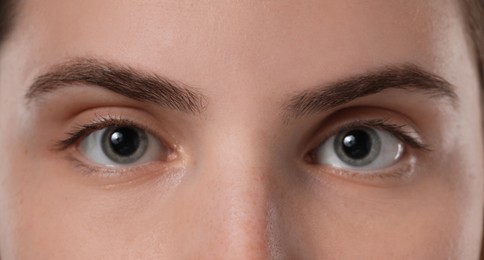 Photo of Eyebrow styling. Young woman with beautiful eyebrows, closeup