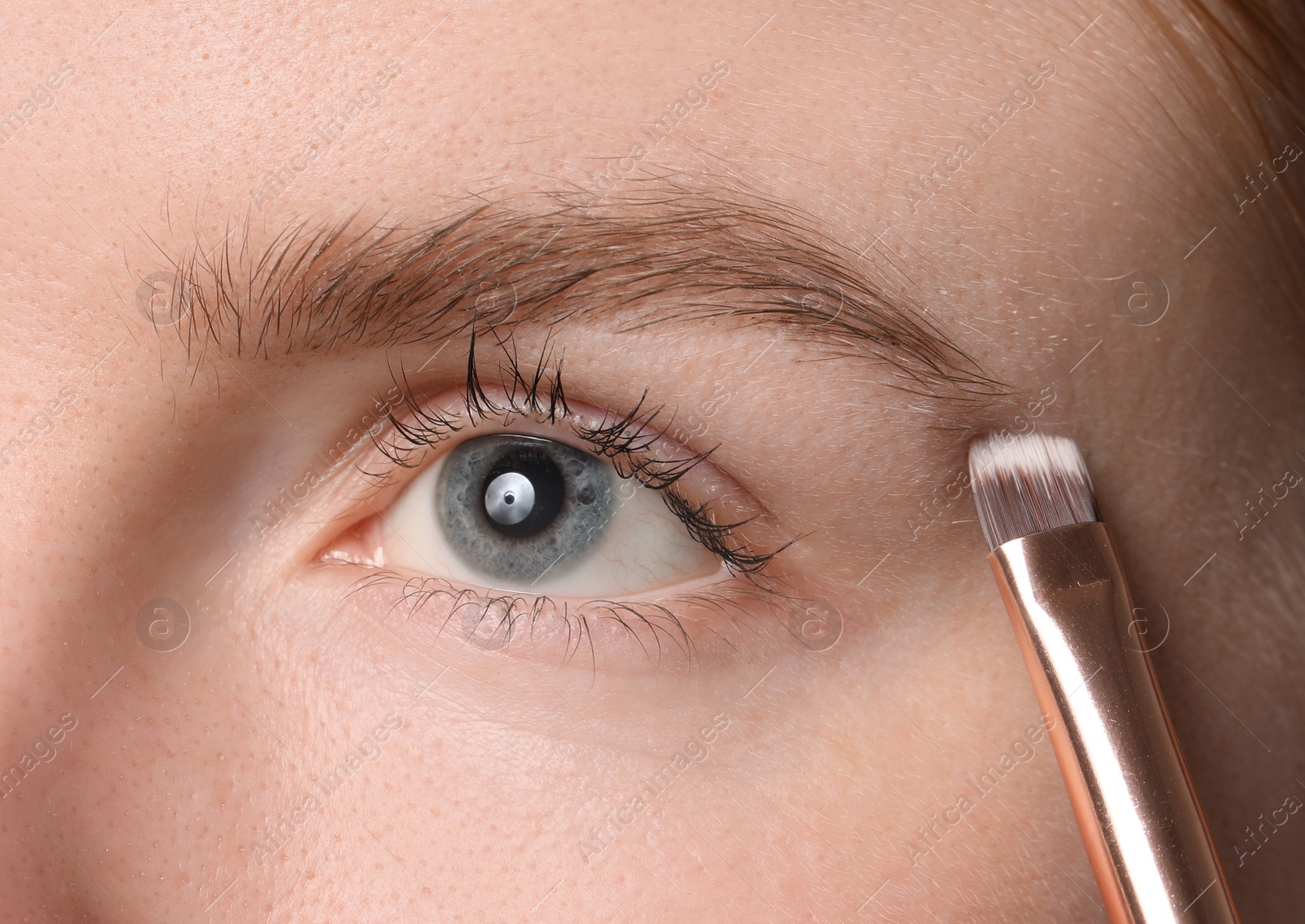 Photo of Young woman applying cosmetic product onto her eyebrow with brush, closeup