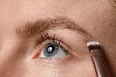 Photo of Young woman applying cosmetic product onto her eyebrow with brush, closeup
