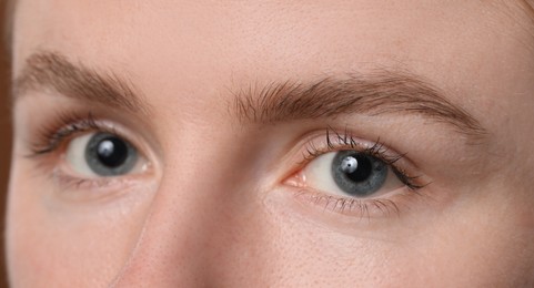 Photo of Eyebrow styling. Young woman with beautiful eyebrows, closeup