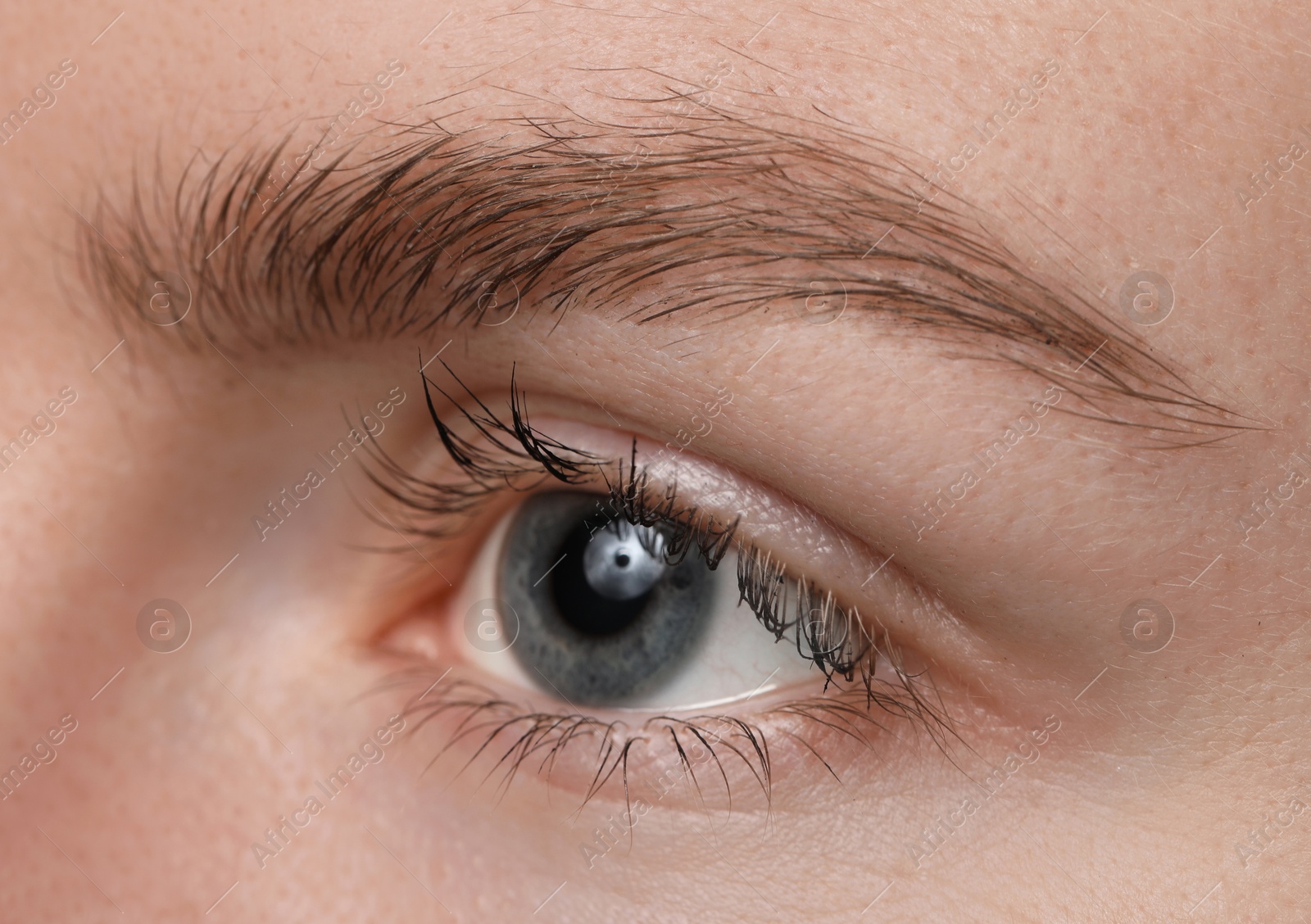 Photo of Eyebrow styling. Young woman with beautiful eyebrow, closeup