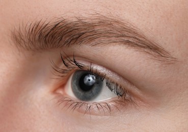 Photo of Eyebrow styling. Young woman with beautiful eyebrow, closeup