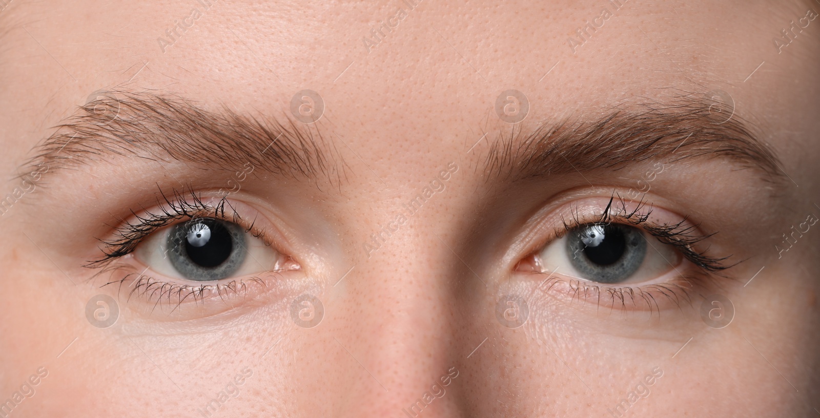 Photo of Eyebrow styling. Young woman with beautiful eyebrows, closeup