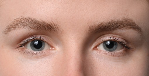 Photo of Eyebrow styling. Young woman with beautiful eyebrows, closeup