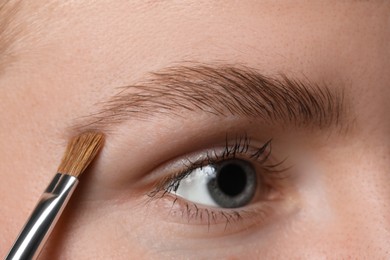 Photo of Young woman applying cosmetic product onto her eyebrow with brush, closeup