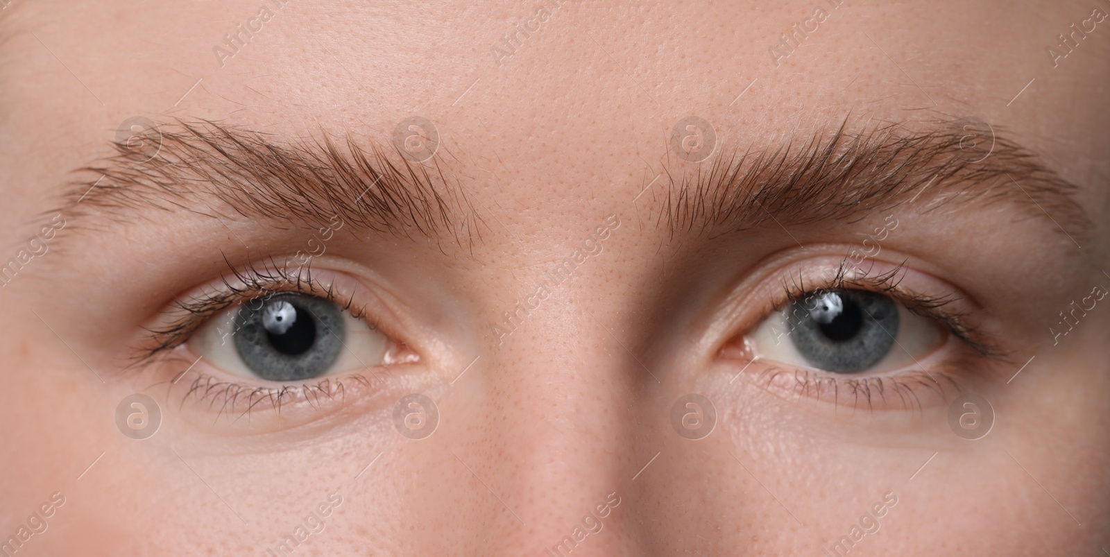 Photo of Eyebrow styling. Young woman with beautiful eyebrows, closeup