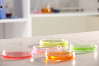 Photo of Petri dishes with different samples on grey table in laboratory, closeup. Solution chemistry