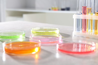 Photo of Petri dishes with different samples and test tubes on light table in laboratory, closeup. Solution chemistry