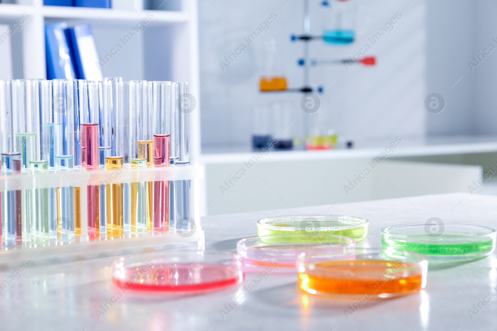 Photo of Petri dishes with different samples and test tubes on light table in laboratory, closeup. Solution chemistry